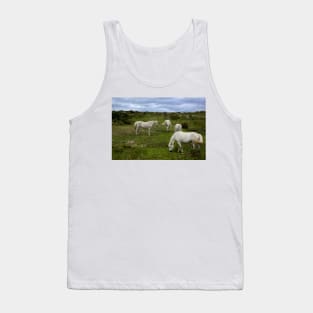 Free horses in Ireland Tank Top